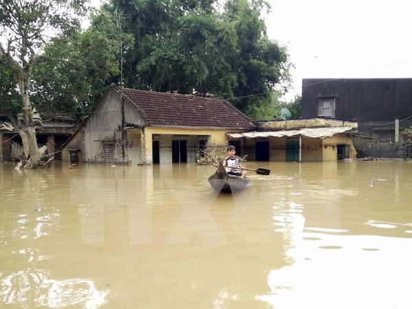 Gobierno vietnamita ofrece ayuda por inundaciones a provincia de Binh Dinh hinh anh 1