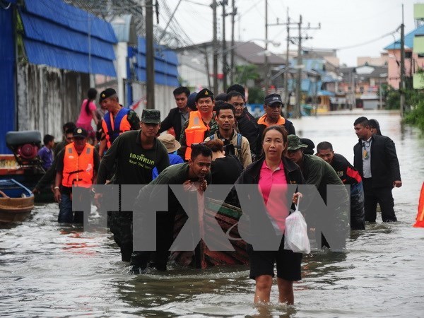 Al menos 12 muertos por inundaciones en Sur de Tailandia hinh anh 1