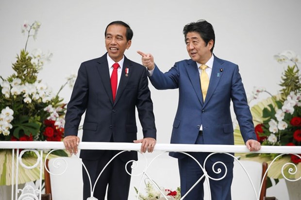 Japon e Indonesia refuerzan cooperacion en seguridad maritima hinh anh 1