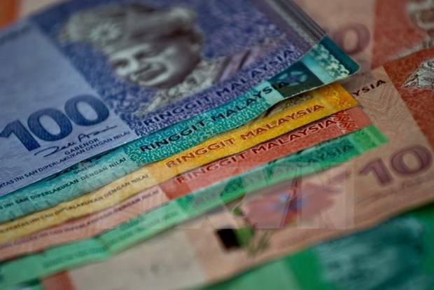 Malasia considera medidas para estabilizar la moneda nacional hinh anh 1