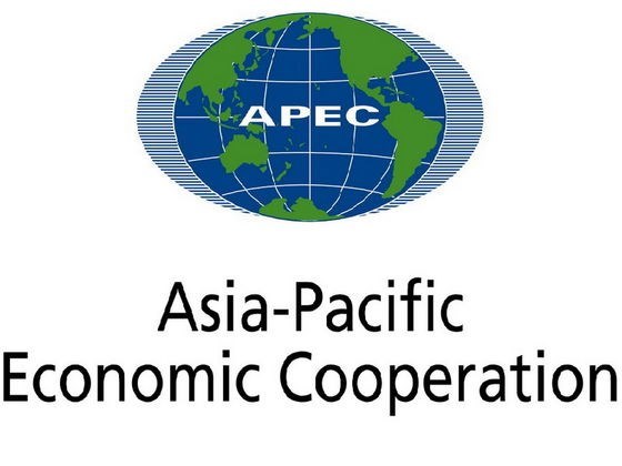 APEC, mecanismo lider de cooperacion economica de Asia-Pacifico hinh anh 1