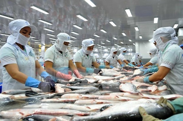 Sector acuicola vietnamita debe apuntar al mercado asiatico, segun expertos hinh anh 1