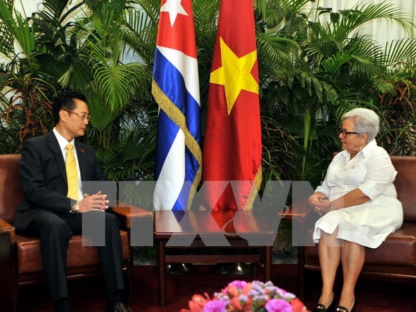 Vicepresidenta cubana confia en desarrollo de lazos tradicionales con Vietnam hinh anh 1