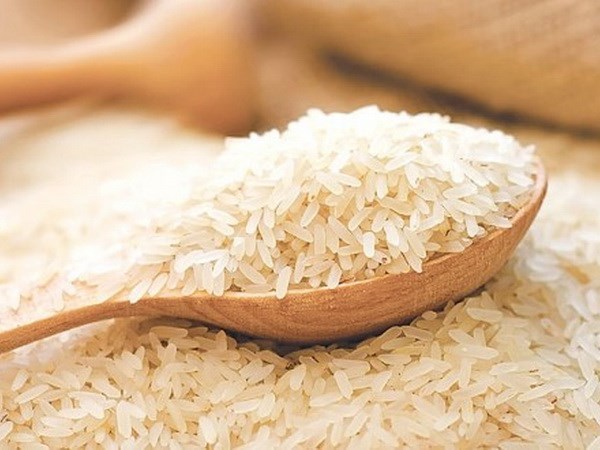 Indonesia comprara nueve millones de toneladas de trigo hinh anh 1