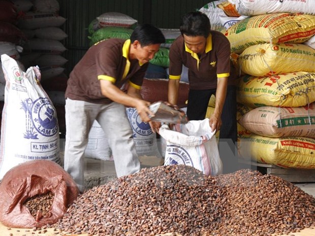 Vietnam suspende importacion de cacahuetes de India hinh anh 1