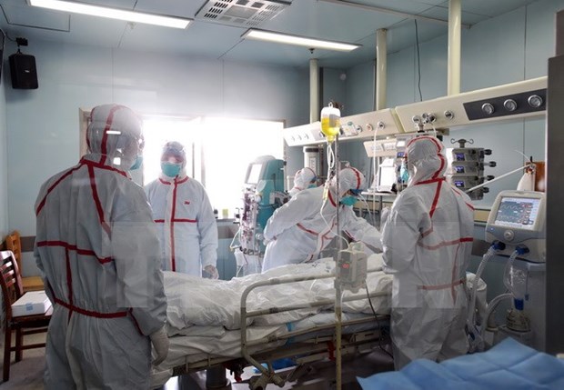 Detectan casos de gripe aviar en zona china adyacente a Vietnam hinh anh 1