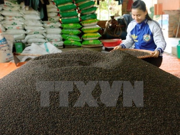 India levanta prohibicion de importaciones de productos agricolas vietnamitas hinh anh 1