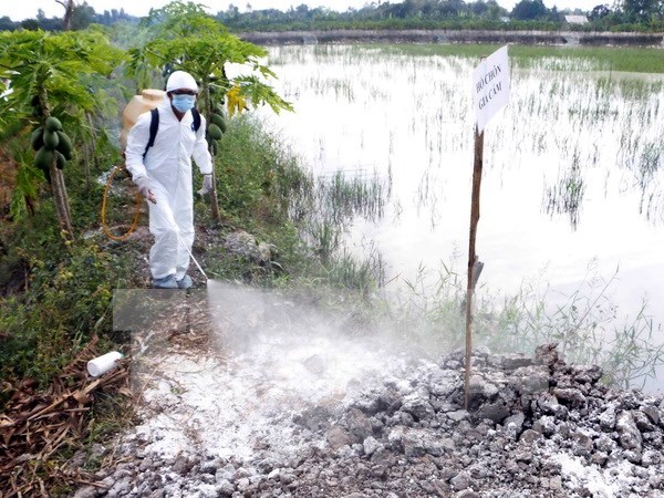 Vietnam se blinda ante la propagacion de gripe aviar en paises vecinos hinh anh 1