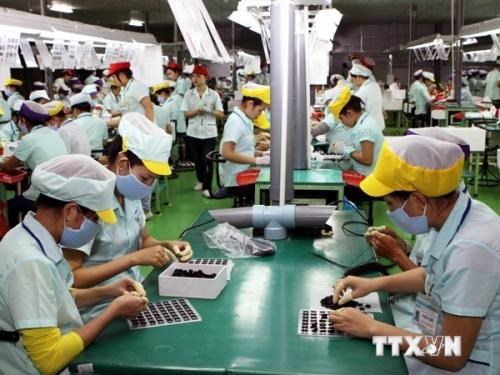 Vietnam registra ligero aumento de poblacion activa en primer trimestre hinh anh 1