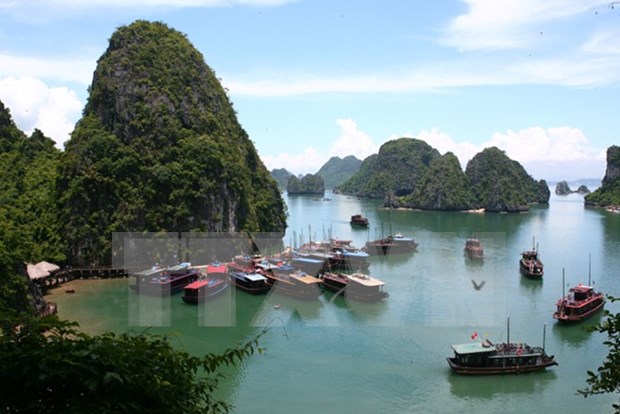 Quang Ninh anuncia nuevas tarifas para visitas a Bahia de Ha Long hinh anh 1