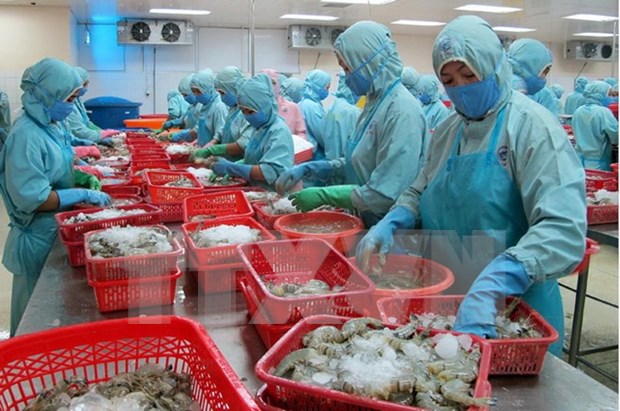 Sector agropecuario de Vietnam implementa medidas para impulsar crecimiento hinh anh 1