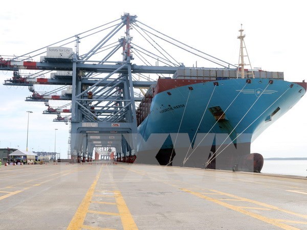 Puerto vietnamita de Cai Mep recibe carguero de 160 mil toneladas hinh anh 1