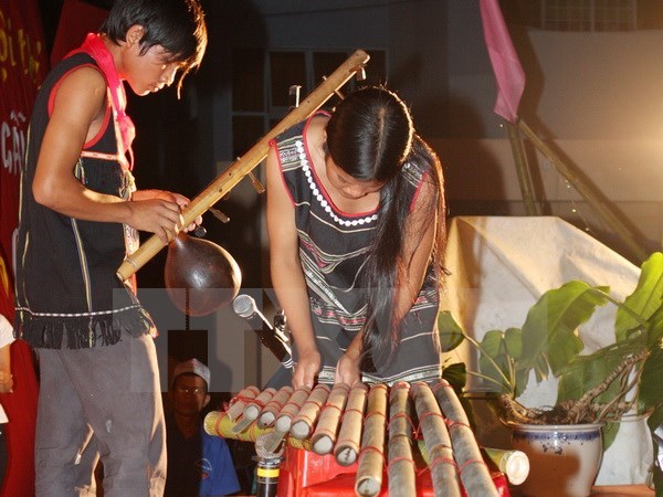 Presentaran instrumentos tipicos de etnias vietnamitas en jornada cultural en Hanoi hinh anh 1