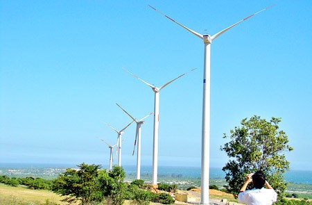 Indonesia y Dinamarca cooperan en sector de energia eolica hinh anh 1