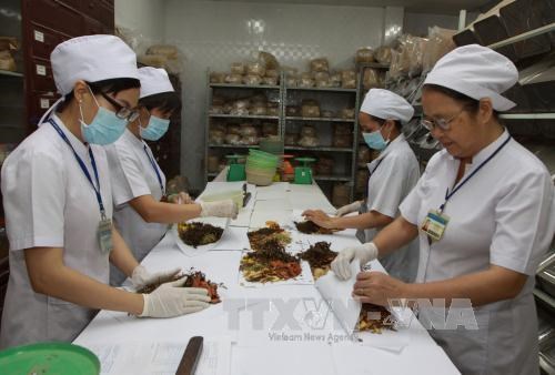 Simposio internacional destaca valores de medicina tradicional de Vietnam hinh anh 1