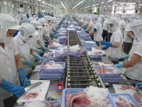 Exportaciones de peces marinos de Vietnam alcanzaran ocho mil millones de dolares en 2030 hinh anh 1