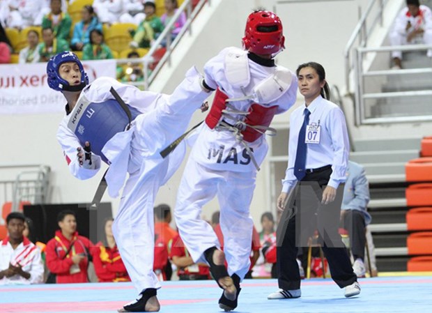 Taekwondistas vietnamitas ganan tres medallas de oro en campeonato mundial hinh anh 1
