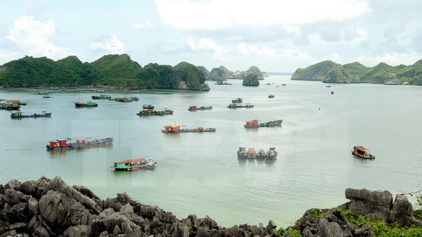 Ciudad vietnamita inicia primera fase de complejo eco-turistico hinh anh 1