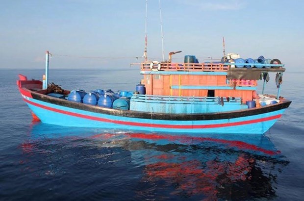 Embajada vietnamita verifica informacion sobre arresto de pescadores connacionales en Malasia hinh anh 1