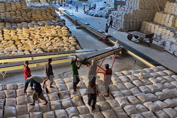 Filipinas pide al sector privado importar arroz barato hinh anh 1
