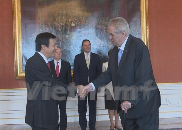 Presidente de Republica Checa desea fortalecer relaciones con Vietnam hinh anh 1
