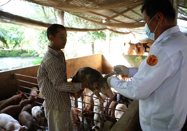 Piden a China levantar prohibicion de importacion de carne de cerdo de Vietnam hinh anh 1