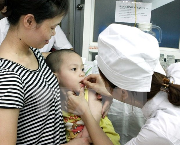 Dieta desequilibrada provoca carencia de micronutrientes en vietnamitas hinh anh 1