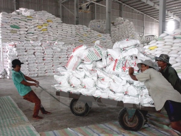 Precio de exportacion para el arroz de Vietnam alcanza su nivel maximo de ultimo tres anos hinh anh 1