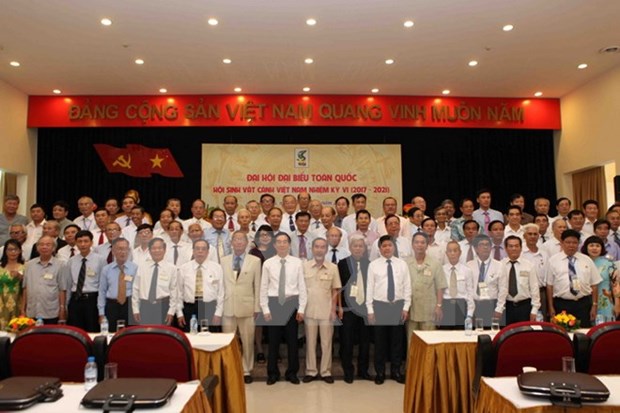 Vietnam promueve el desarrollo del sector de variedades ornamentales hinh anh 1