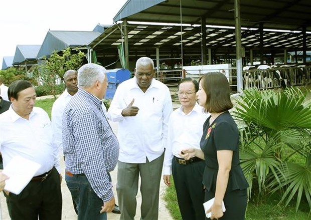 Delegacion parlamentaria cubana visita provincia norvietnamita hinh anh 1