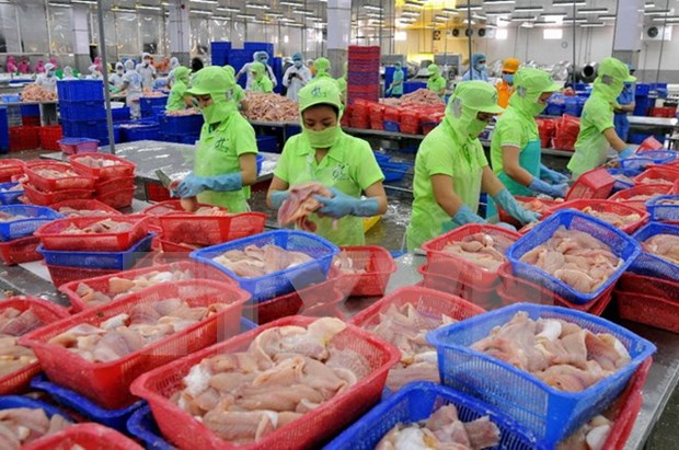 Vietnam reporta notable crecimiento de envios de productos acuicolas a Paises Bajos hinh anh 1