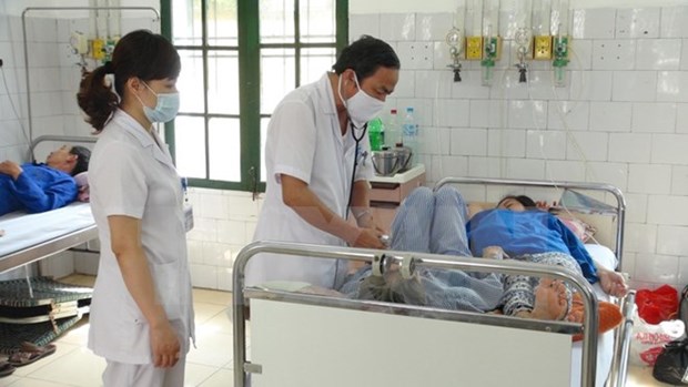 Premier vietnamita pide intensificar acciones de saneamiento para prevenir dengue hinh anh 1