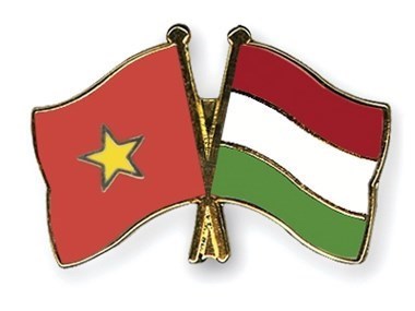 Resaltan apoyo mutuo y amistad duradera Vietnam- Hungria hinh anh 1