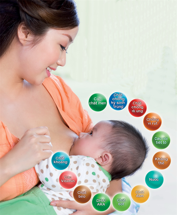 Destacan en Vietnam la importancia de la lactancia materna hinh anh 1