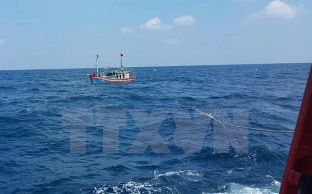 Rescatan a pescadores vietnamitas accidentados en el mar hinh anh 1
