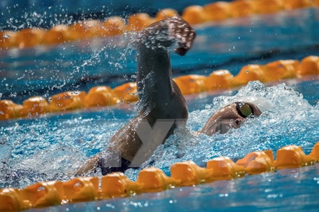 Nadadora vietnamita con excelente actuacion en SEA Games 29 hinh anh 1
