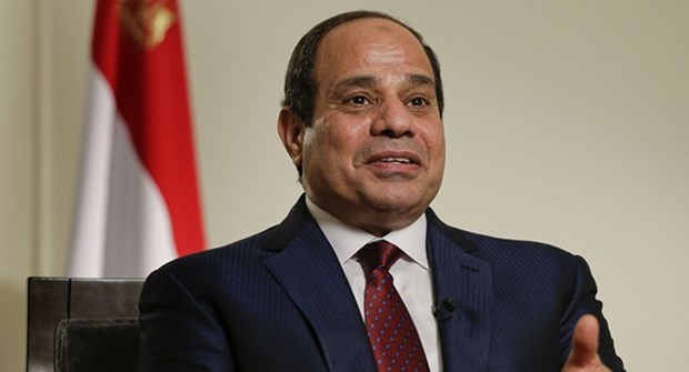 Visita a Vietnam del presidente de Egipto: hito importante en historia de lazos binacionales hinh anh 1