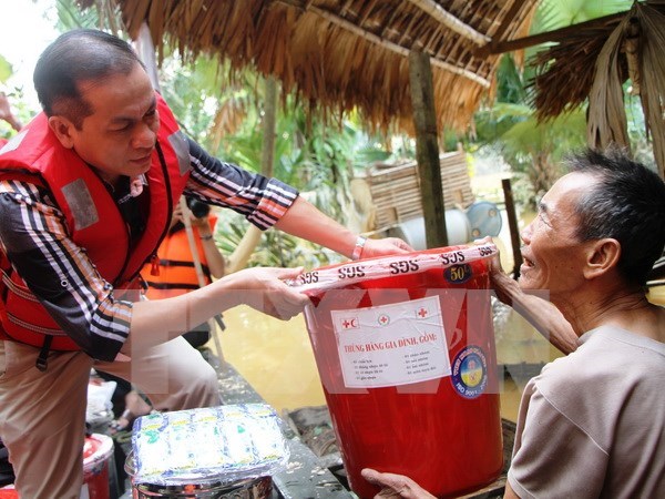 Reconocen ayuda humanitaria de Cruz Roja Noruega a Vietnam hinh anh 1