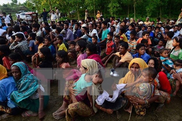 Mas de 370 mil myanmenos huyen a Bangladesh por violencia en Rakhine hinh anh 1