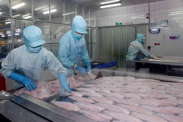 Exportaciones de pescado Tra de Vietnam se mantienen estables hinh anh 1