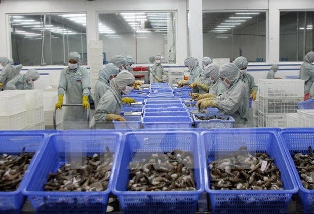 UE desplaza a Japon como mayor importador de camarones de Vietnam hinh anh 1
