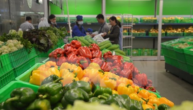 Vietnam ingresa monto multimillonario por ventas de verduras y frutas hinh anh 1