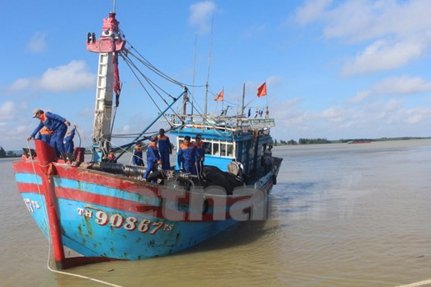 Provincia vietnamita de Thua Thien-Hue respalda al sector pesquero hinh anh 1