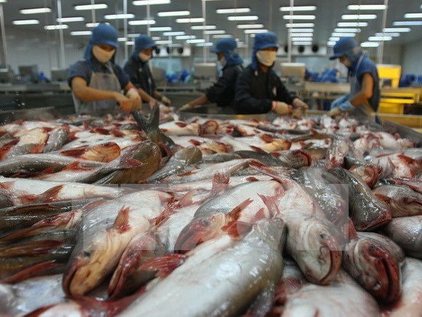 Pescado Tra de Vietnam conquista a consumidores internacionales por su nutricional superior hinh anh 1