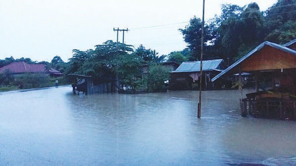 Vietnamitas en el exterior respaldan a laosianos en superacion de secuelas de desastre natural hinh anh 1