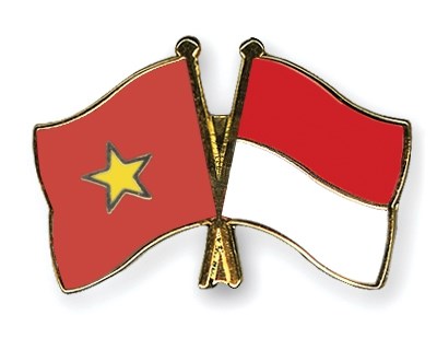 Vietnam e Indonesia buscan elevar eficiencia de su cooperacion economica hinh anh 1