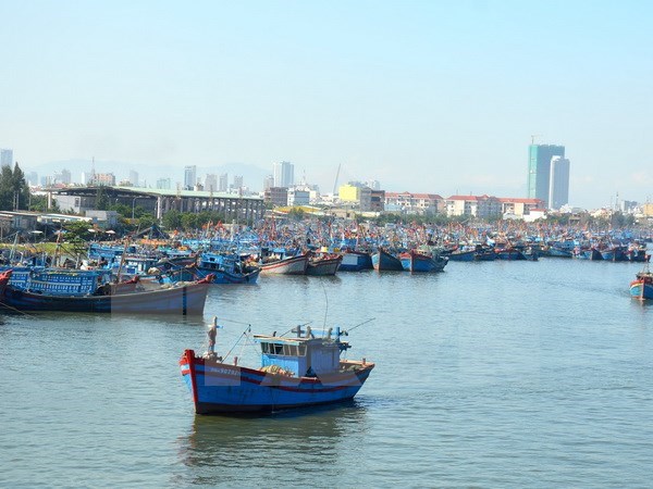 Vietnam exige trato humano a pescadores nacionales hinh anh 1