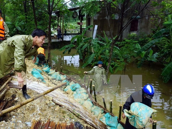 Continuan en Vietnam actividades de apoyo a victimas de inundaciones hinh anh 1