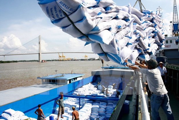 Vietnam extrae parte de reserva de arroz nacional para apoyar a afectados por inundaciones hinh anh 1