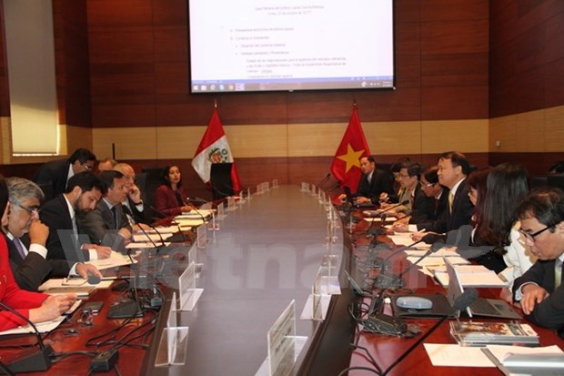 Efectuada primera Reunion de Comision Intergubernamental Peru-Vietnam hinh anh 1